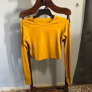 Fleo Mustard Crop Top